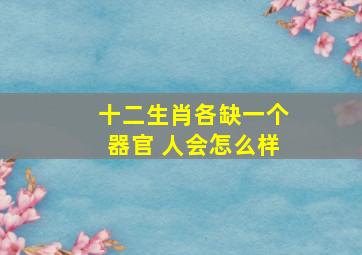 十二生肖各缺一个器官 人会怎么样